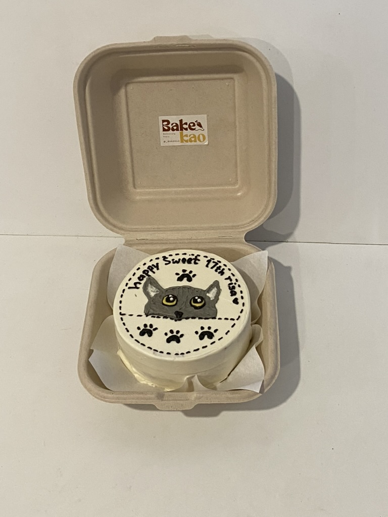 Bento Cake BSD Tangerang Selatan - Custom bento cake